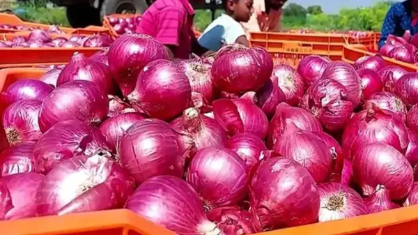 प्याज के थोक भाव में 20% तक गिरावट