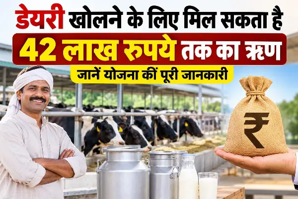 डेयरी खोलने के लिए मिल सकता है 42 लाख रुपये तक का ऋण, जानें योजना की पूरी जानकारी