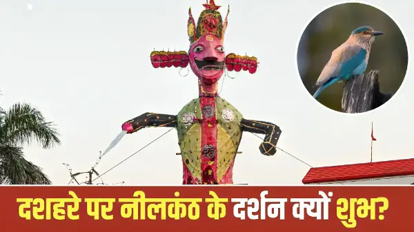 दशहरे पर नीलकंठ के दर्शन को क्यों माना जाता है शुभ?