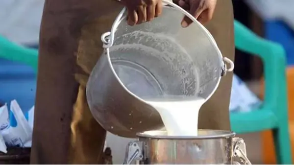 तमिलनाडु में दूध-दही के दाम बढ़े