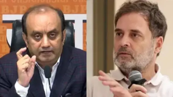 राहुल गांधी के दावे पर बीजेपी का पलटवार