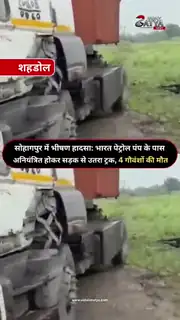 हाईवे पर बेसहारा मवेशियों की दर्दनाक मौत