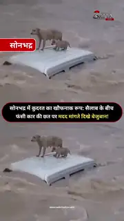 शक्तिनगर में बारिश ने मचाई तबाही