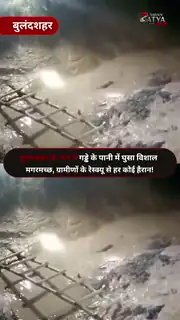 बुलंदशहर के गड्ढे में दिखा मगरमच्छ