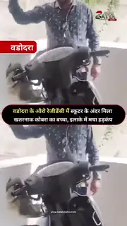 स्कूटर में सांप देख मची अफरा तफरी