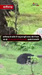 खेत में काम कर रहे भाई-बहन की मौत